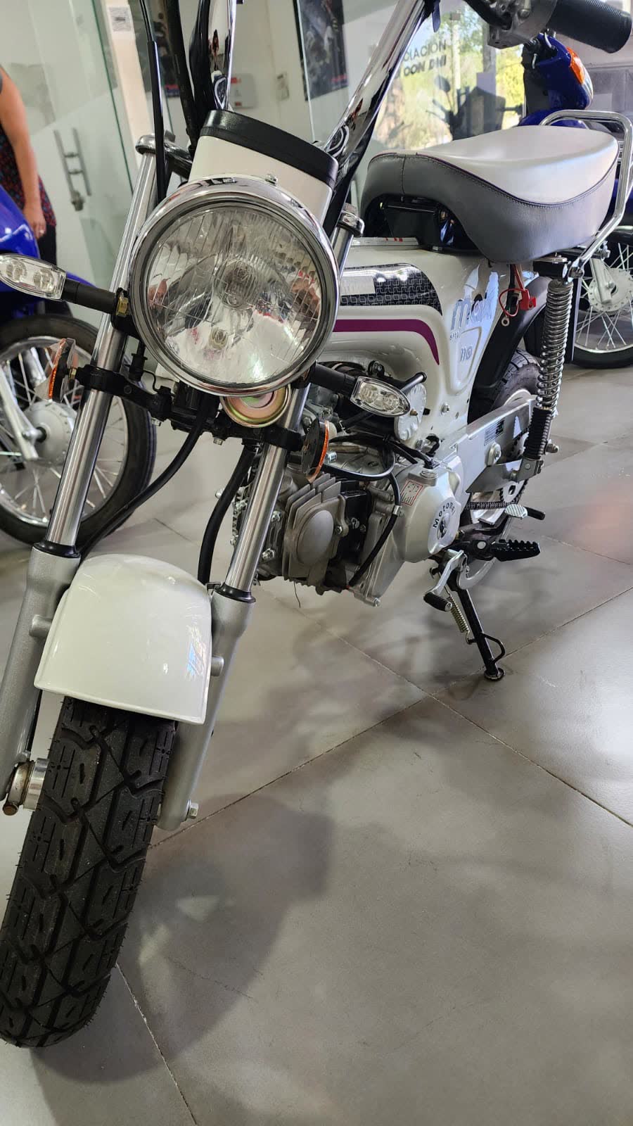 Motomel Max 110
