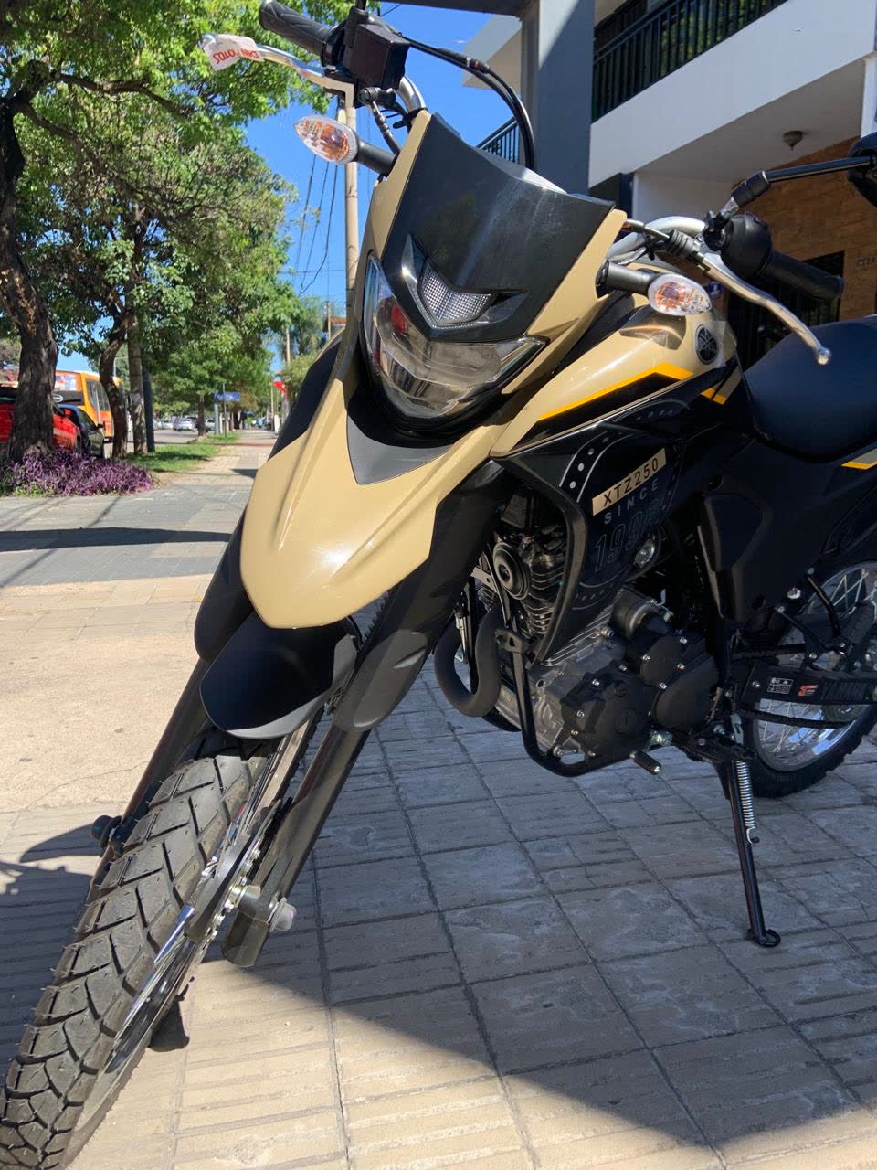 Yamaha XTZ 250 ABS foto 4